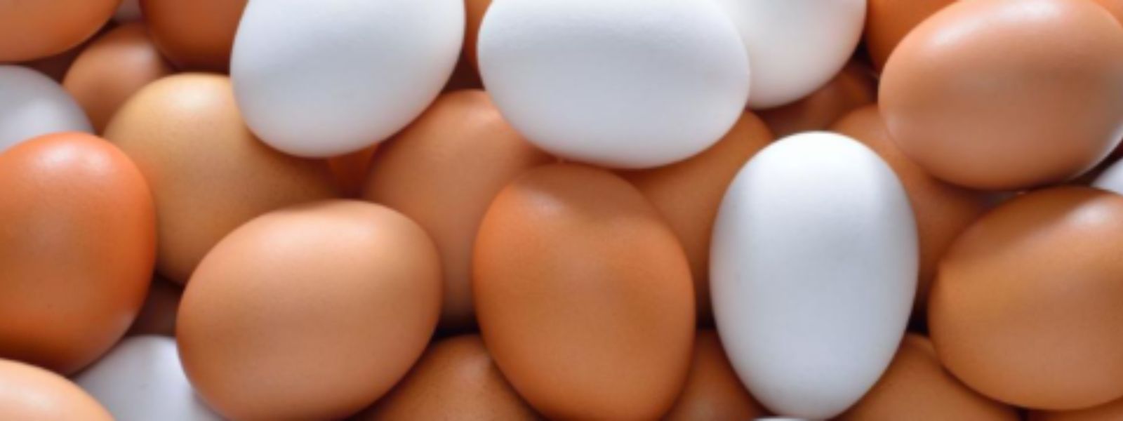 Sri Lanka Slashes Egg Prices